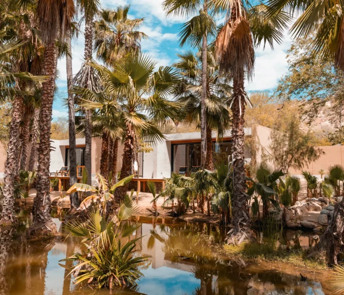 image of amet nature retreat